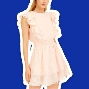 SAGE THE LABEL XL Summer’s Eve Ruffled Mini Dress